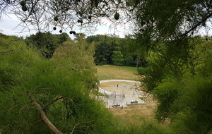 Grimpe d'arbres au parc Bréquigny