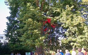 Forum festif au parc Oberthür