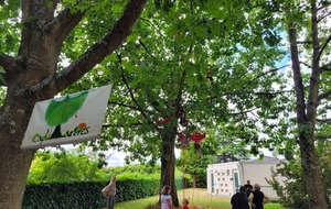 Festival des Savoirs et des Arts