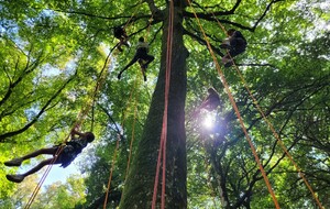 Centre de loisirs L'arbre aux papillons
