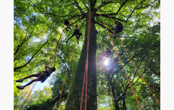 Centre de loisirs L'arbre aux papillons