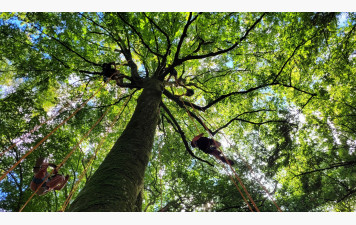 Centre de loisirs l'Arbre aux Papillons