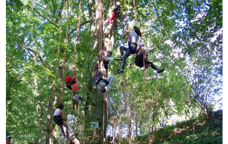 La Fête du Jeu à Châteaubourg