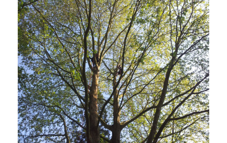 Cercle Paul Bert Le Blosne