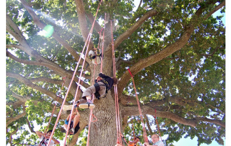 Accueil de loisirs et Espace jeunes de Nouvoitou