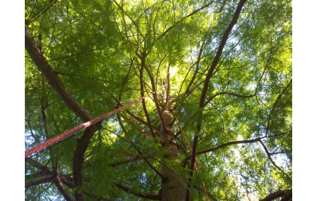 Fête du Jeu et de la Parentalité