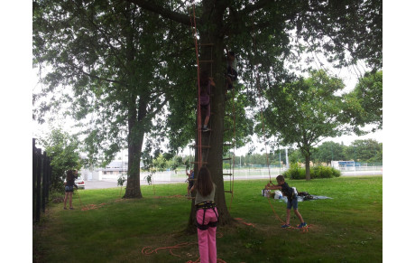 Grimpe d'arbres avec l'Office Jacquolandin des Sports