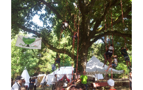 Fête médiévale à Grand Fougeray