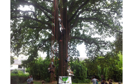Forum associatif au parc Oberthür