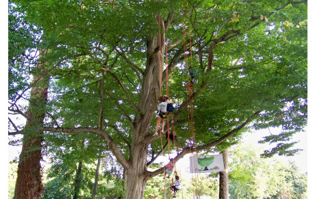 Délices de plantes 2016