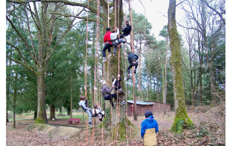 Séjour Breizh Insertion Sport