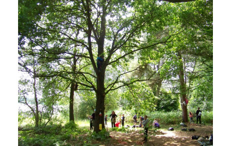 Jeux Départementaux