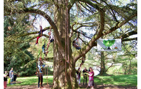 Les Sportiviales à Vitré