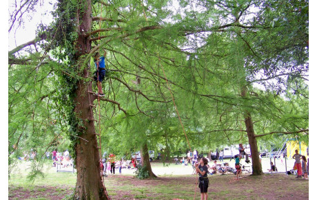 Fête du Jeu et de la Parentalité