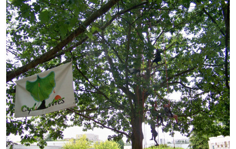 Festival des Savoirs et des Arts