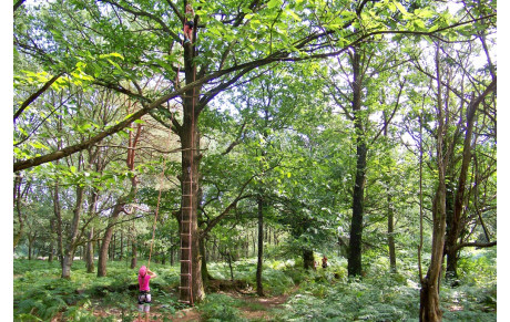 Centre de loisirs Les Bruyères