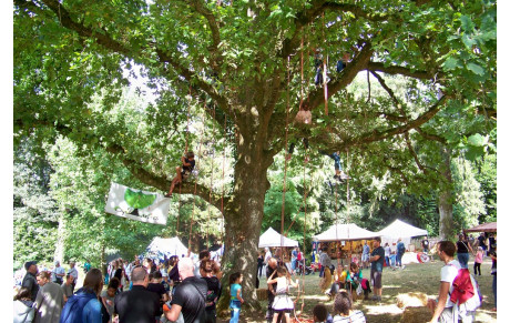 Fête médiévale à Grand Fougeray