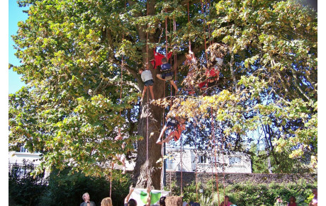 Forum festif au parc Oberthür