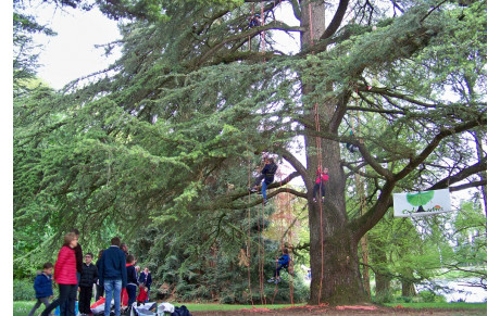 Les Sportiviales 2019 à Vitré 