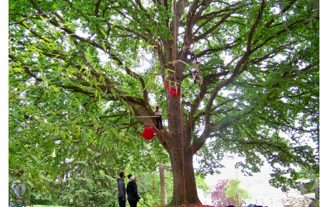 Fête de la Nature 2019