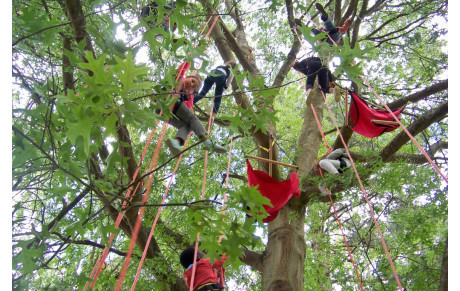 Fête du Jeu et de la Parentalité