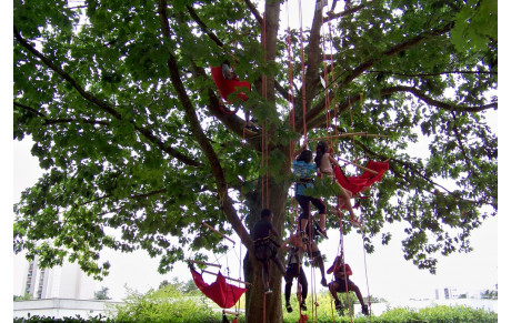 Festival des Savoirs et des Arts 2019