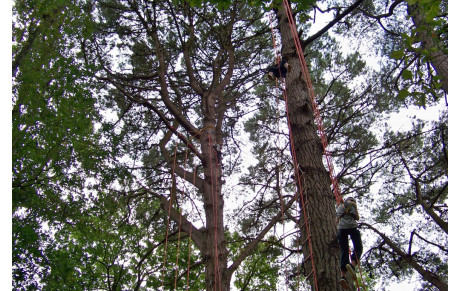 Centre de loisirs de Chavagne