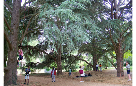 Sports Activ'été au parc de Maurepas