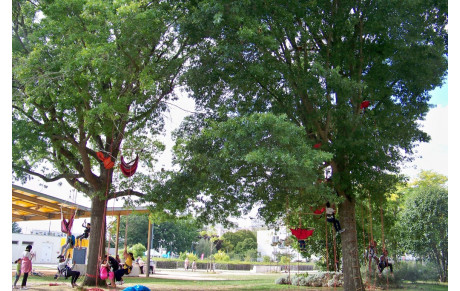 Sports Activ'été au parc du Berry