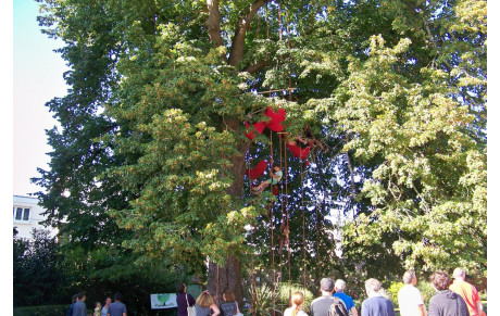 Forum festif au parc Oberthür