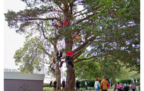 Tous en Fête au jardin