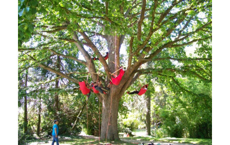 Samedis au parc du Thabor