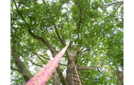 Dimanches au Centre Alain Savary