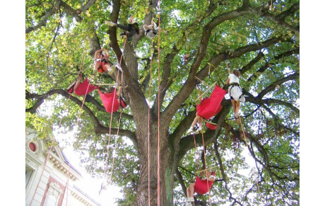 Forum festif au parc Oberthür