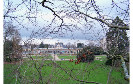 Grimpe d'hiver au parc du Thabor