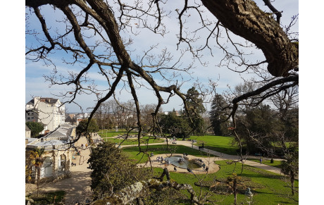Grimpe au parc du Thabor
