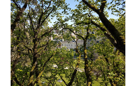 Grimpe printanière au parc du Thabor