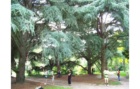 Sports Activ'été au parc de Maurepas