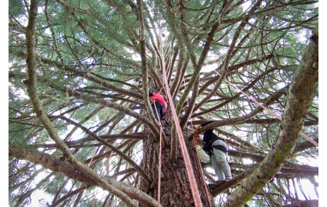 Sports Activ'été au Centre Alain Savary