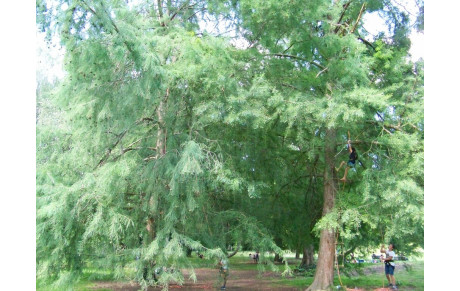 Sports Activ'été au parc Bréquigny