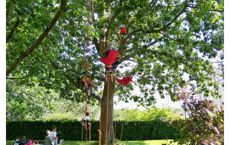 Festival des savoirs et des arts 2021