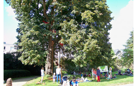 Forum festif au parc Oberthür