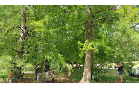 Fête du Jeu et de la Parentalité 