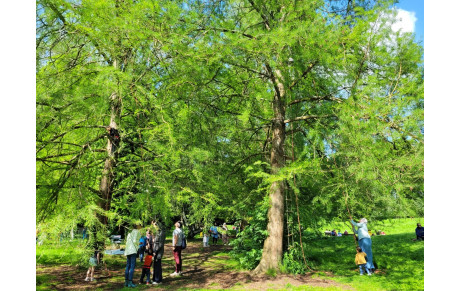 Fête du jeu et de la parentalité