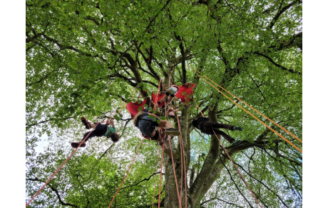 Journée Santé Environnement