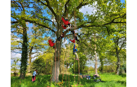 Service Enfance Jeunesse de Thorigné Fouillard