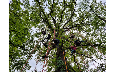 Service Jeunesse de Domloup