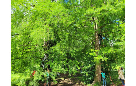 Fête du jeu et de la parentalité