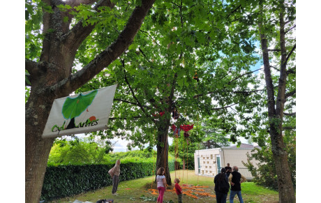 Festival des Savoirs et des Arts