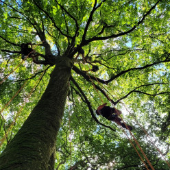 Centre de loisirs l'Arbre aux Papillons